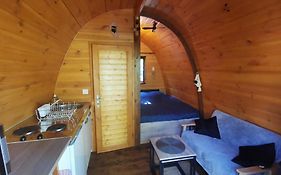 Ma cabane au fond du jardin